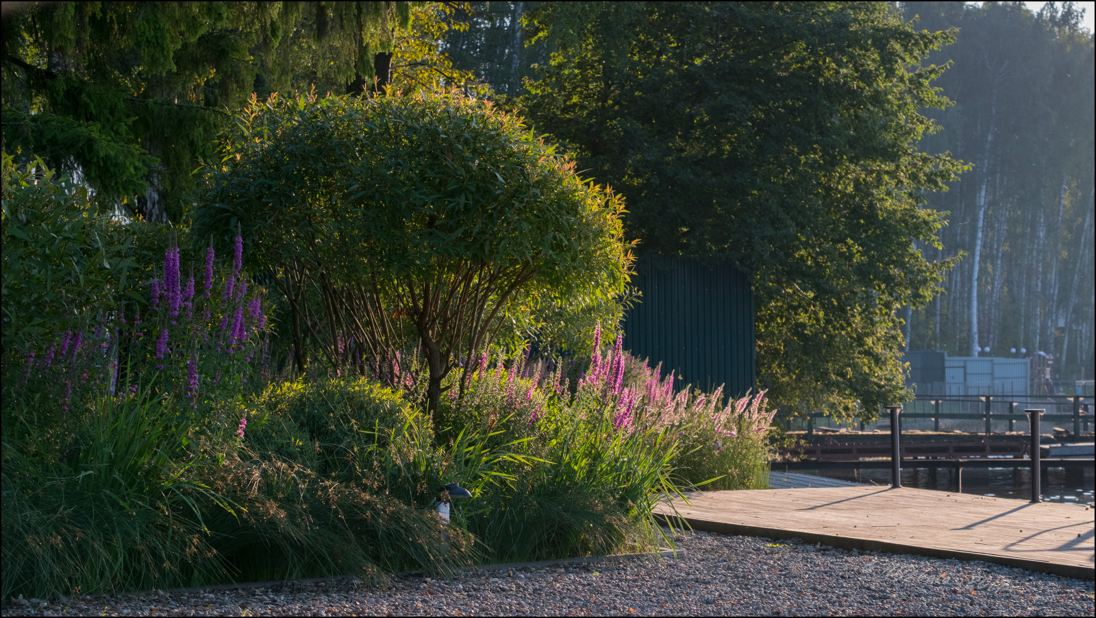 Сад на болоте.