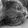 Last commented by Paula Strombeck-Ives