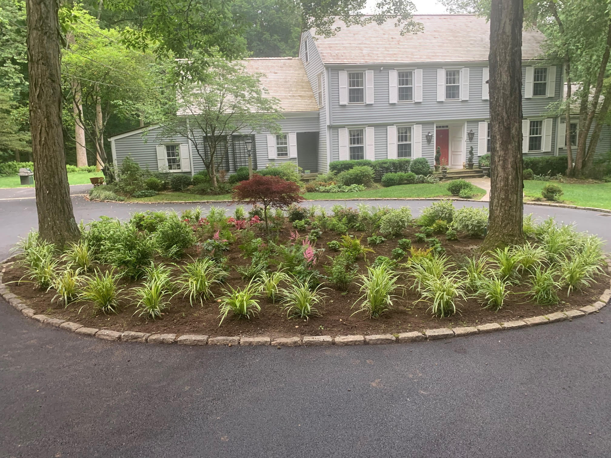 The finished Driveway Circle in Katonah, NY. We planted Dragon Fire Cut Leaf Maple,  Alba Hallow Dogwood, Oak Leaf Hydrangea, Clethra, Variegated Liriope, Mixed woodland perennials. Design, Plant by P