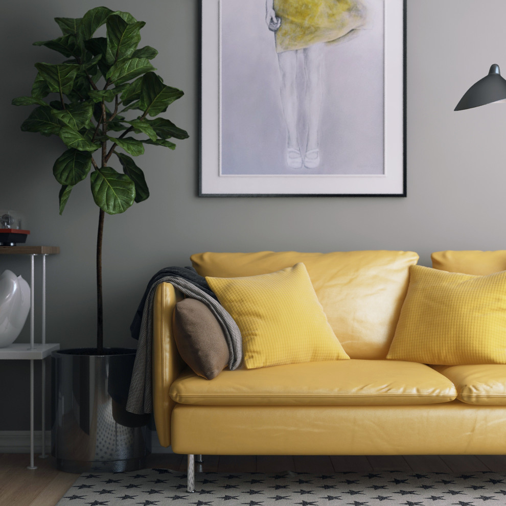 функциональные 23м2