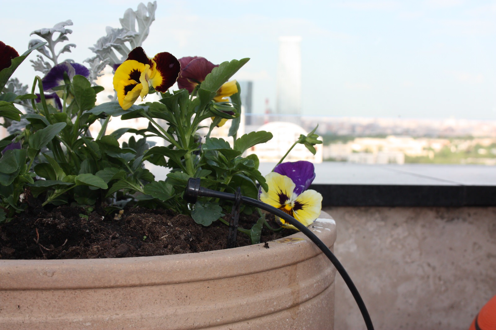 Автополив на крыше ул. Мосфильмовская