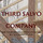 Third Salvo Company