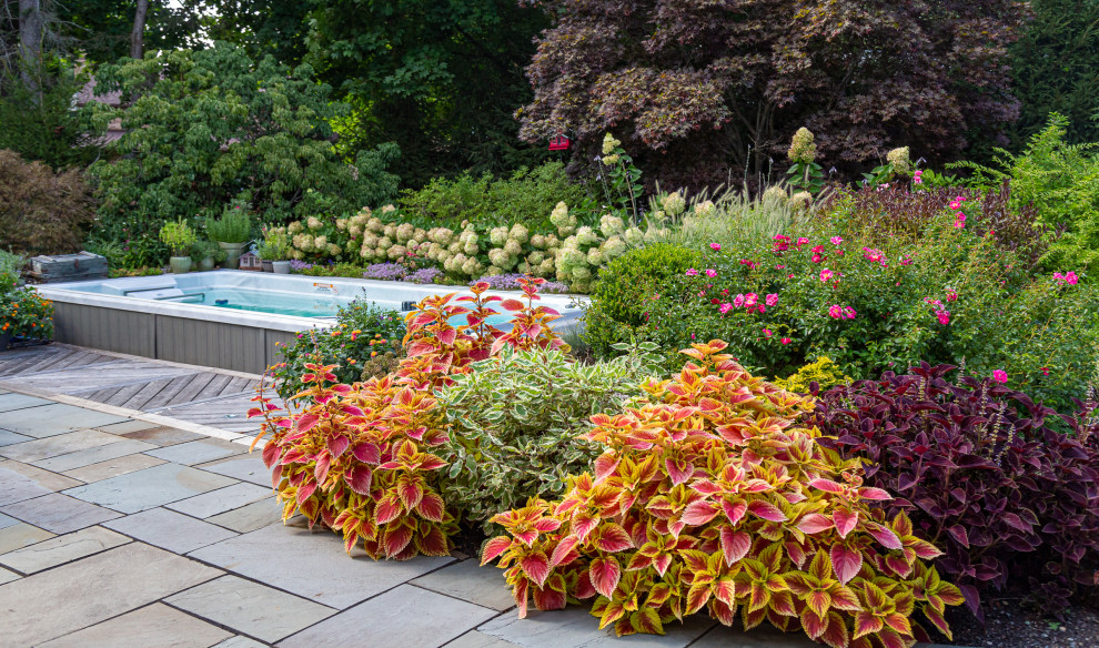 Стильный дизайн: маленький прямоугольный ландшафтный бассейн на заднем дворе в классическом стиле с покрытием из каменной брусчатки для на участке и в саду - последний тренд