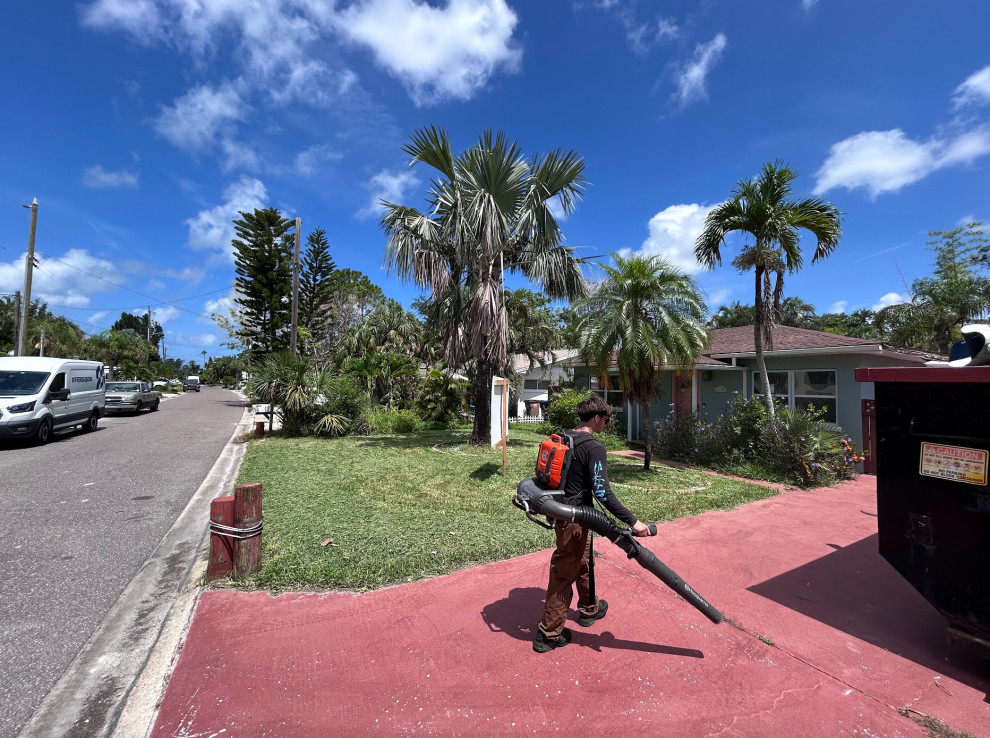 Lawn Care and Maintenance