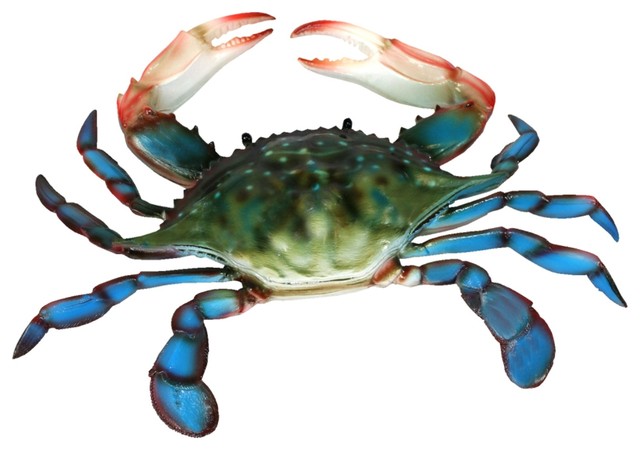 6 Inch Maryland Blue Crab Beach Wall Decor Resin