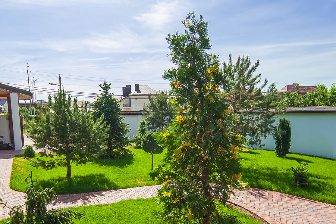 Ландшафтный дизайн