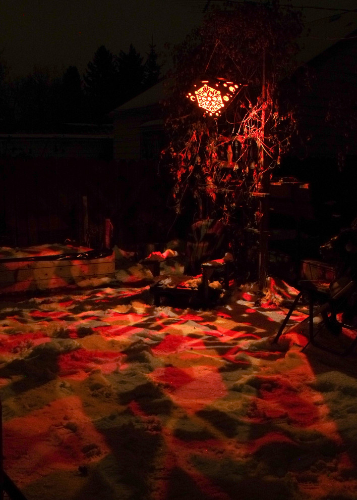 Design ideas for a rustic landscaping in Edmonton for winter.