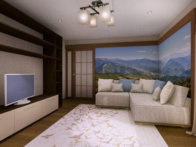 Гостиная - спальня в Великом Новгороде