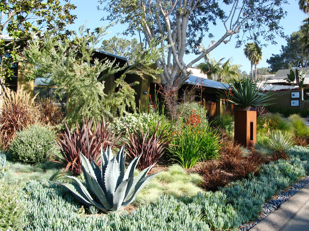 Contemporary garden in San Diego.