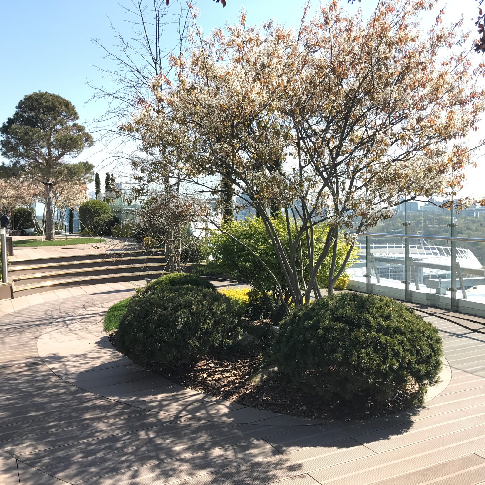 Парк на крыше жилого высотного здания.