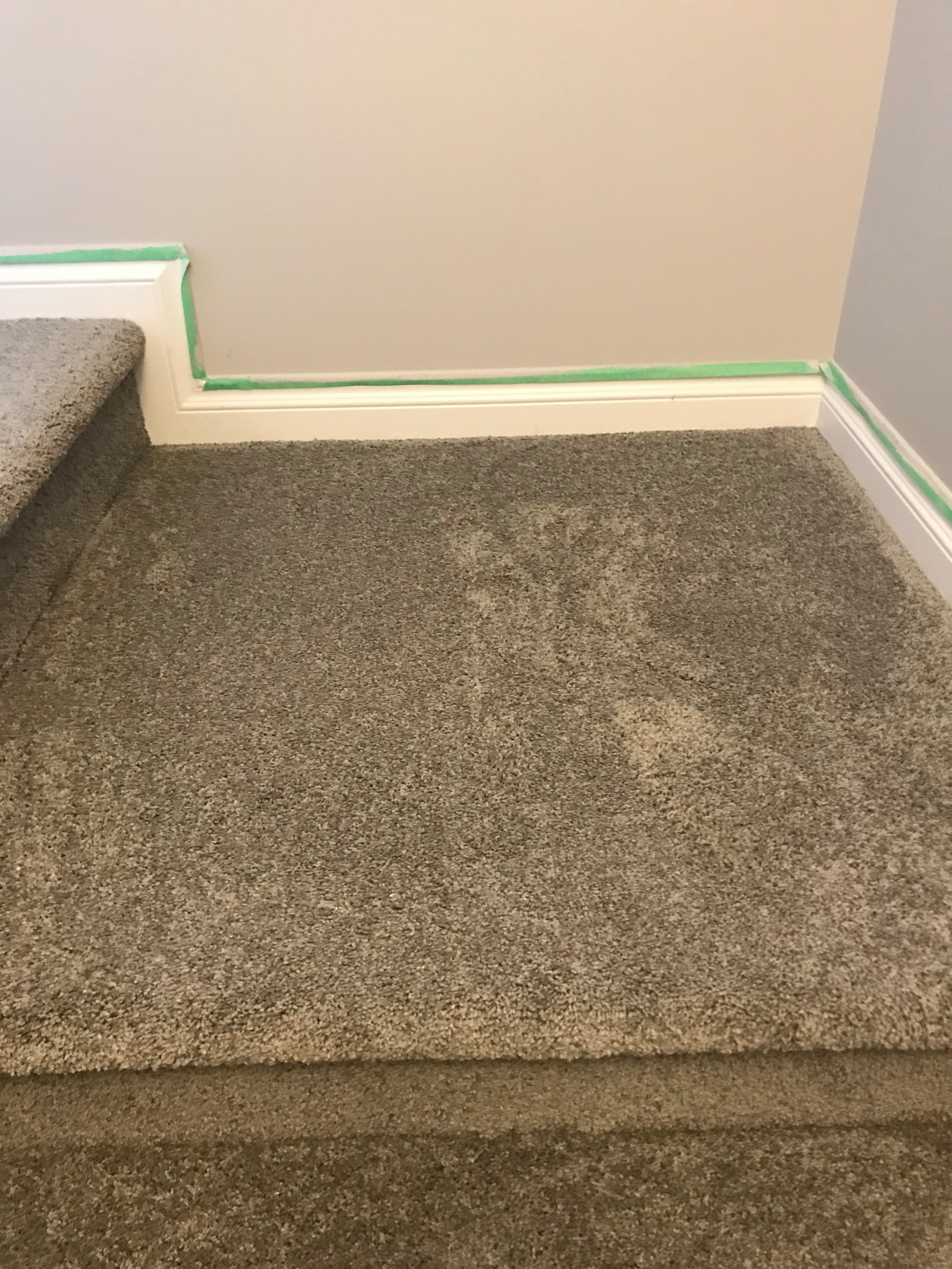 Carpet