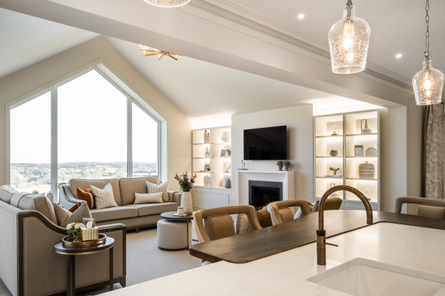 Lough View contemporary-living-room