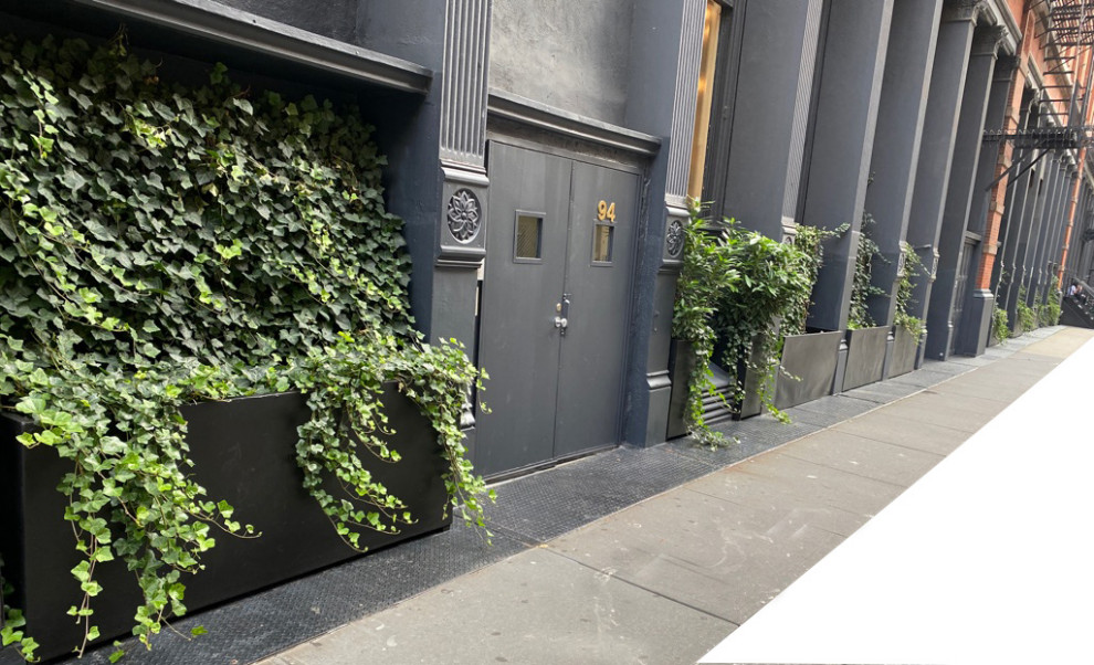 Soho