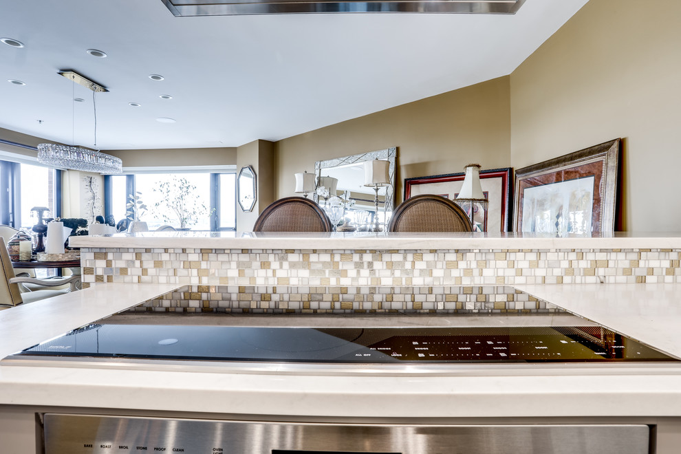 Large transitional enclosed kitchen photo in Baltimore with a farmhouse sink, mosaic tile backsplash, stainless steel appliances and an island