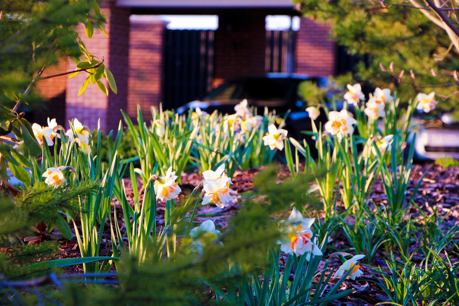 Горки-10, 2017-2020 г.г.