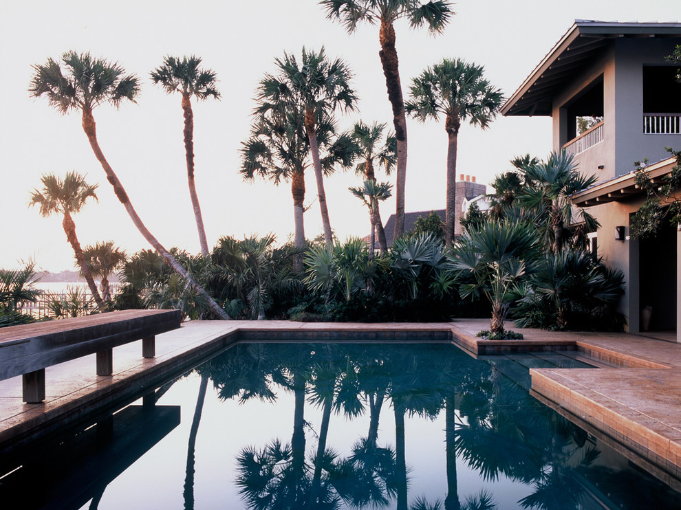 Inspiration for a tropical pool in Miami.