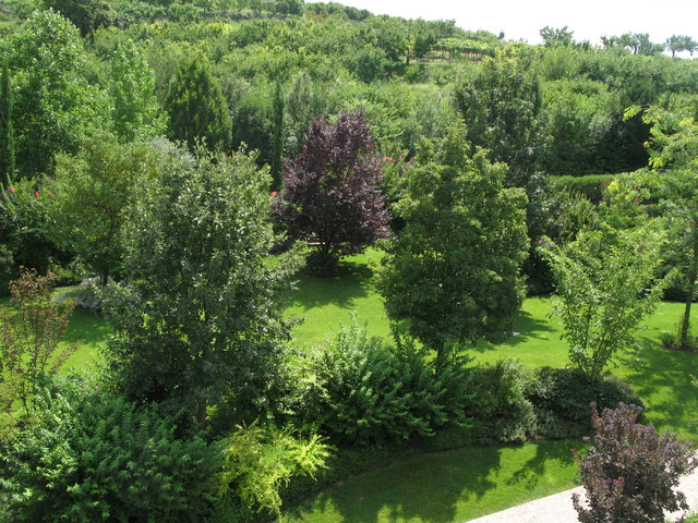 grandi giardini modern-garden