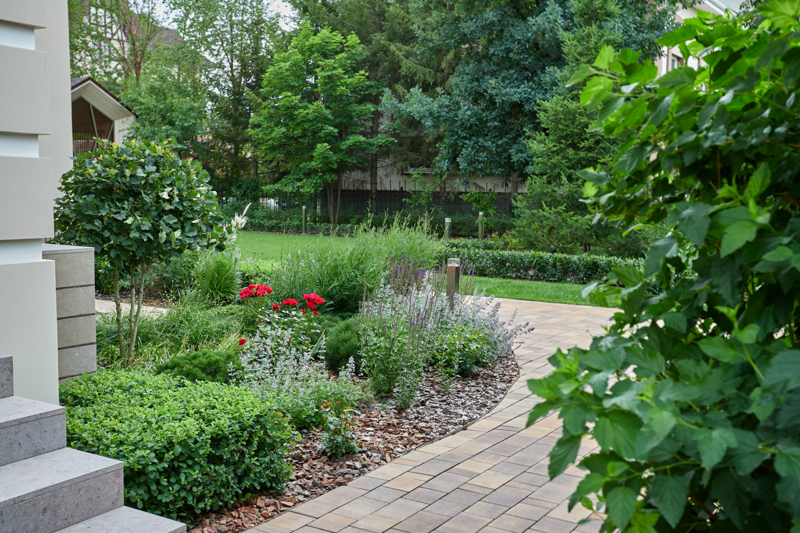 Чистые линии