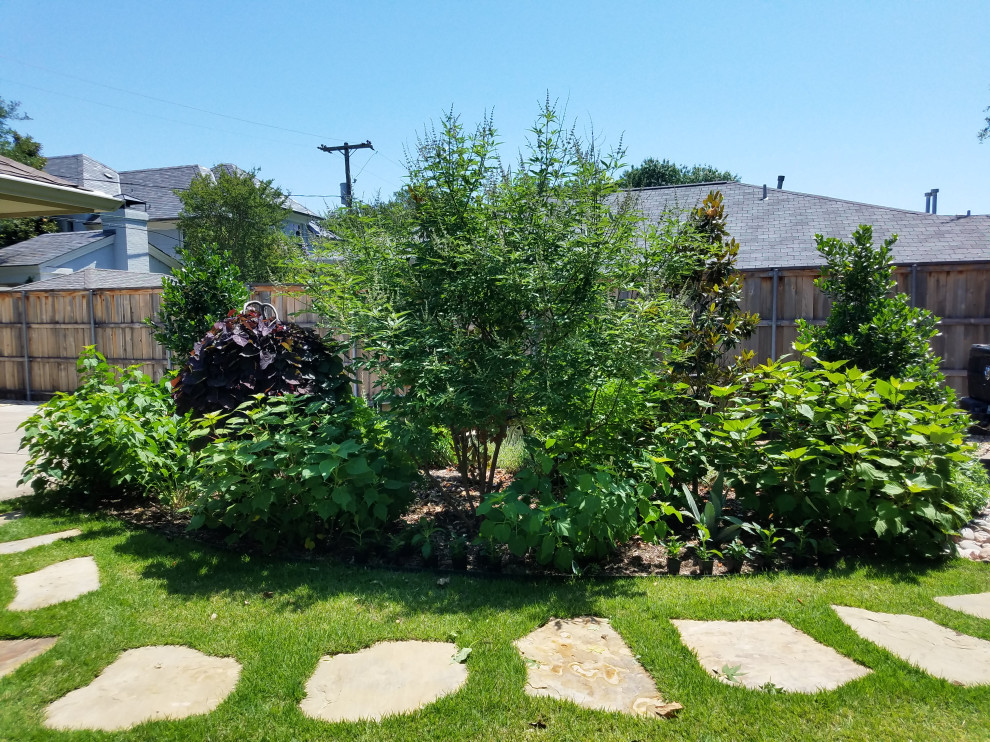 Back Yard Landscape