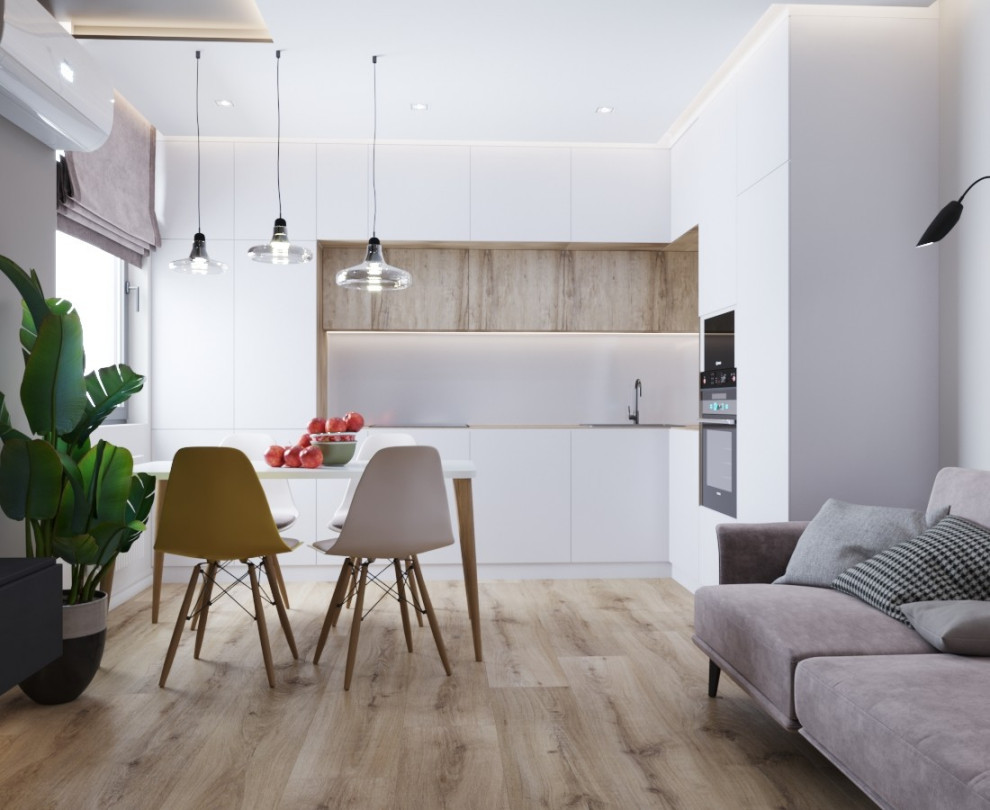 Minimalistic/Modern Kitchen and Living area interior design