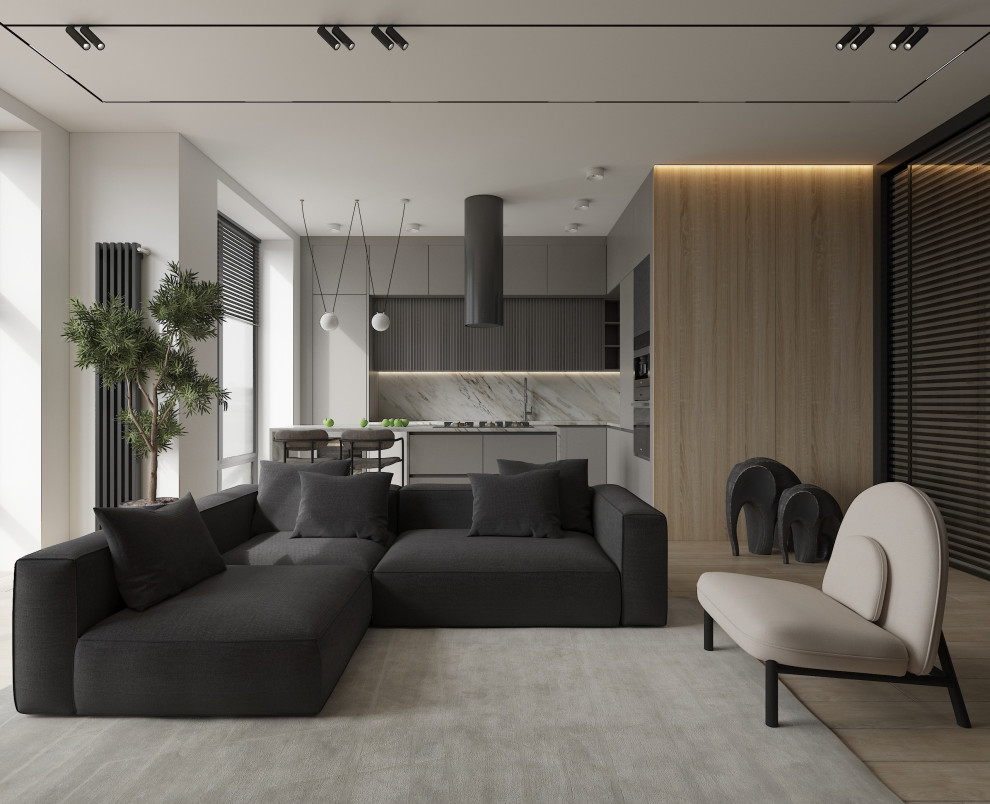 Проект гостиной в стиле современный минимализм
