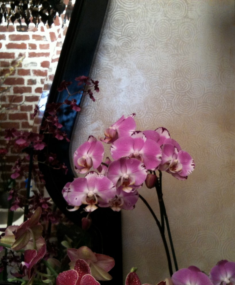 Small eclectic women's walk-in closet photo in San Francisco with gray cabinets