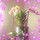 xochitl_mera