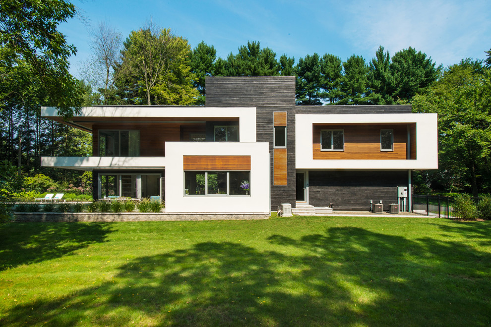 Mid-sized contemporary three-storey stucco black house exterior in New York with a flat roof and a green roof.