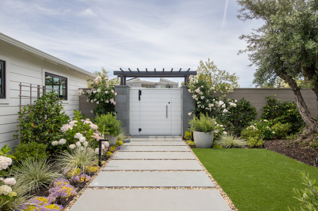 Belvedere Landscaping modern-garden