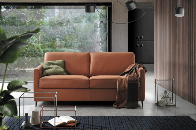 Collection Convertibles contemporary-family-room