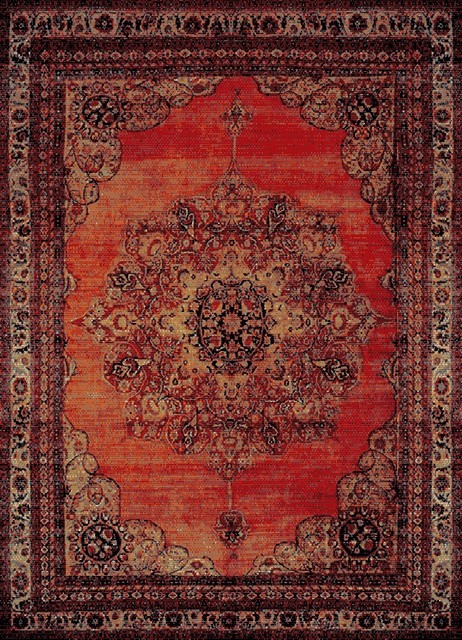 Antibacterial Area Rug 32 X0 5 Traditional Area Rugs By Maxy Home