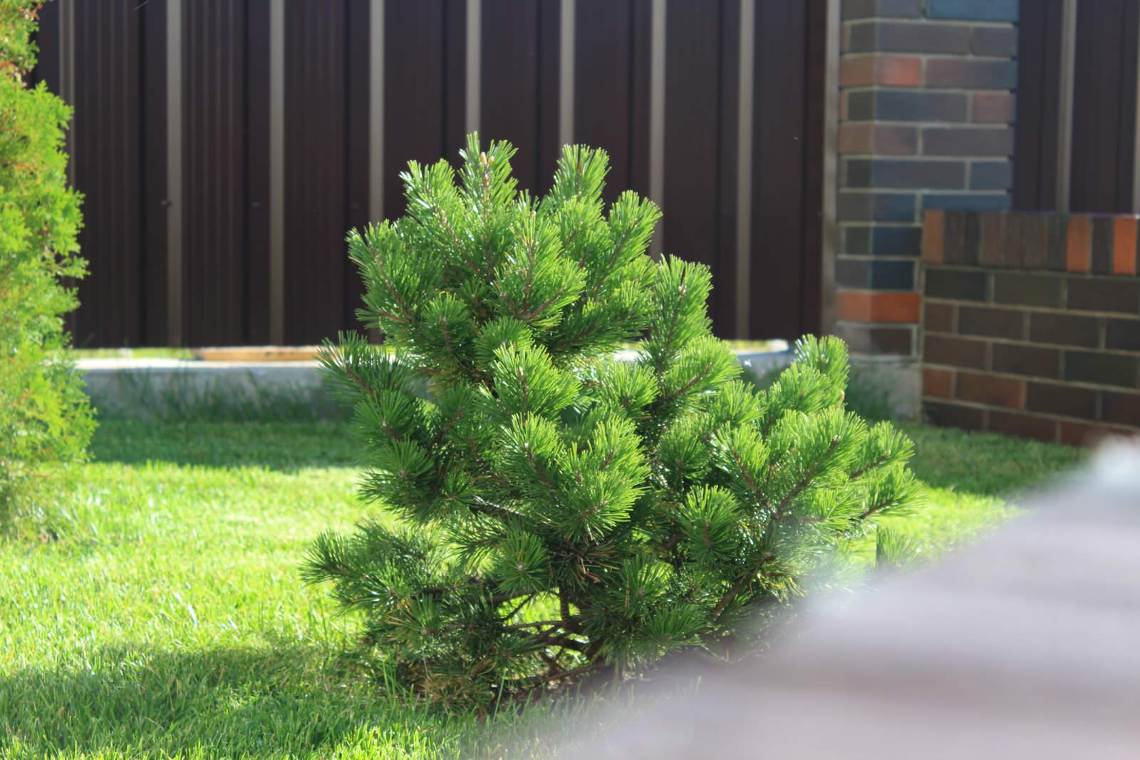 Уютный минимализм