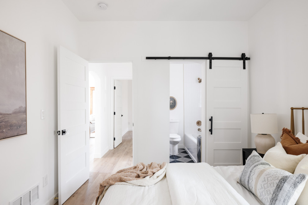 Platt Park Full Home Renovation