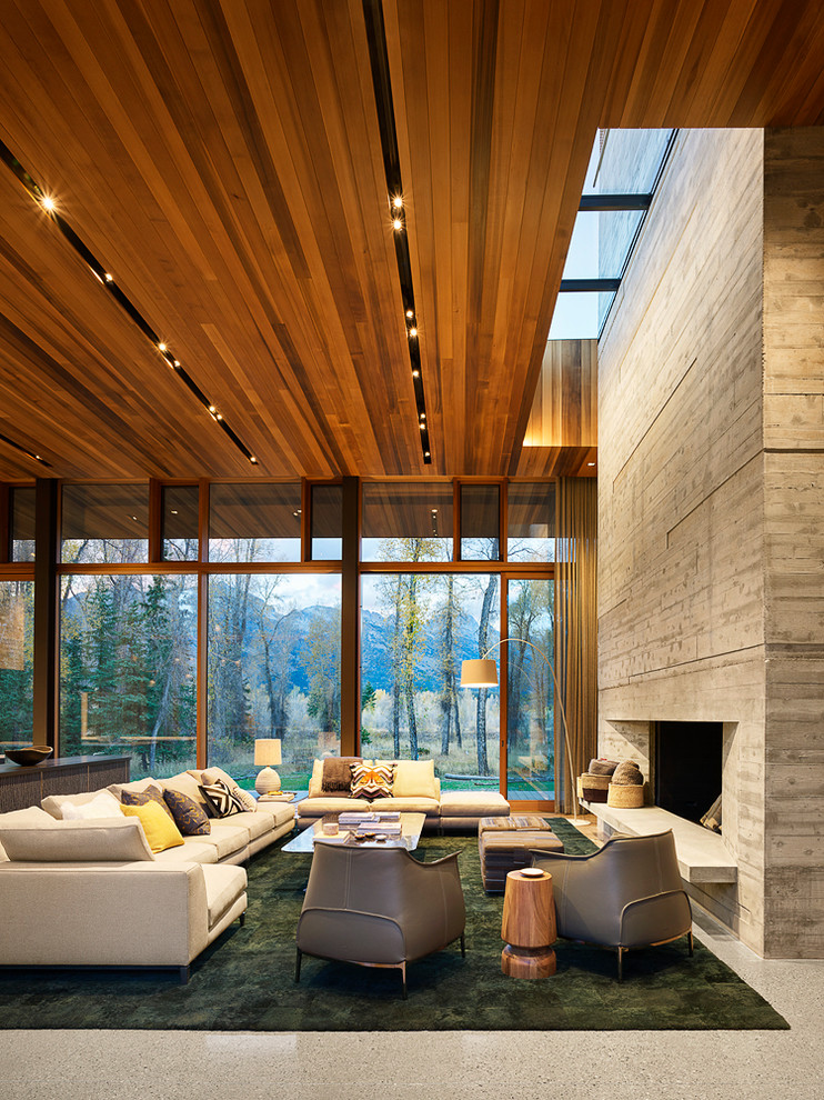 Contemporary living room in Other with grey walls, a standard fireplace and grey floor.