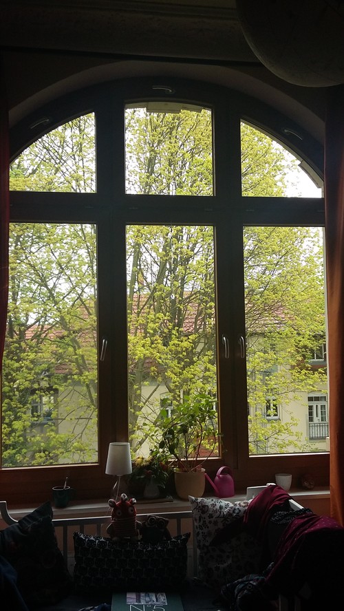 Wer hat ideen für verdunkelung groÃes altbau fenster mit rundbogen?