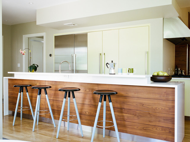 Modern Kitchen Remodel modern-koek