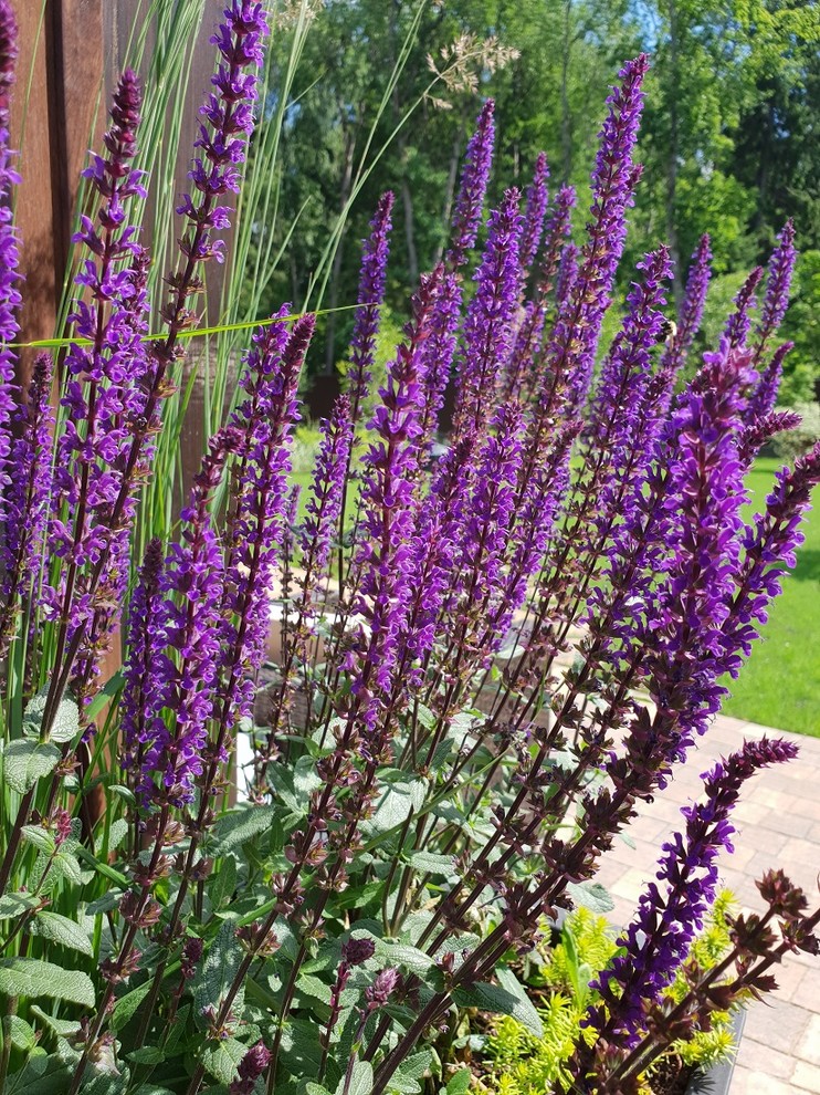 Лесная зона.