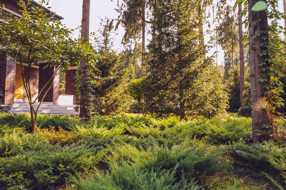 Архитектурное Решение в Пейзажном Стиле