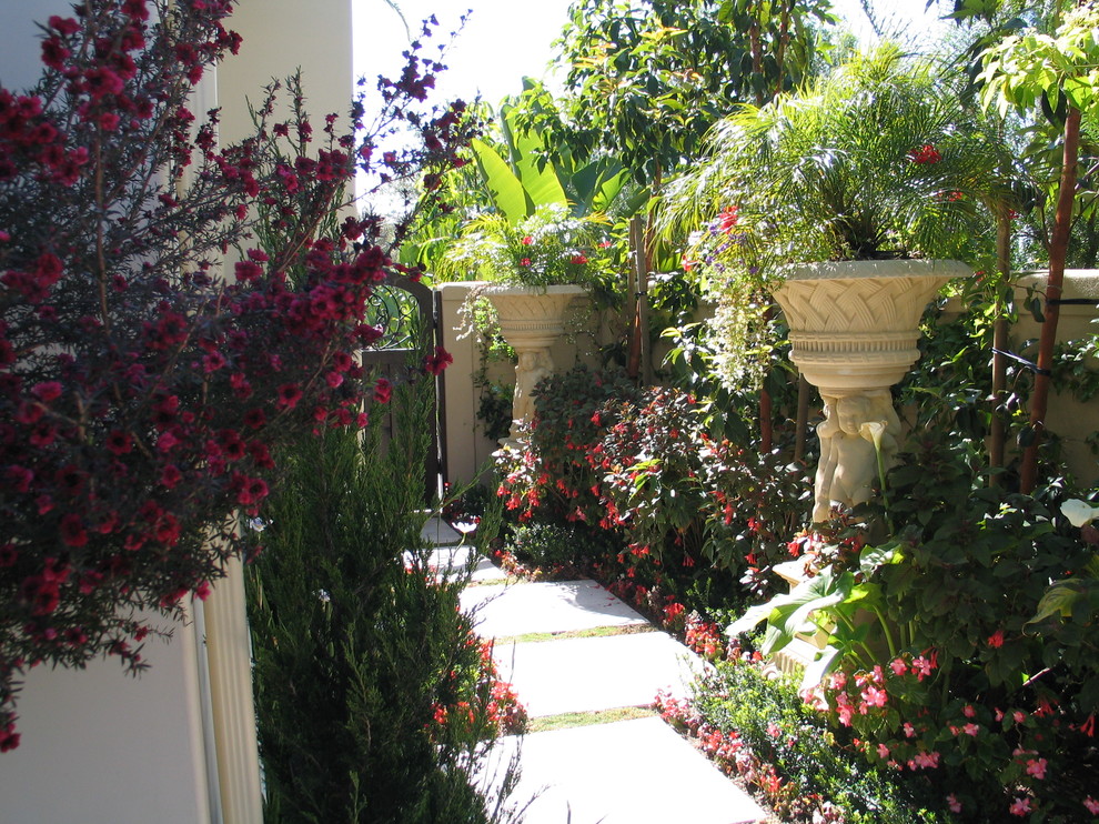 This is an example of a mediterranean side yard garden in Los Angeles.