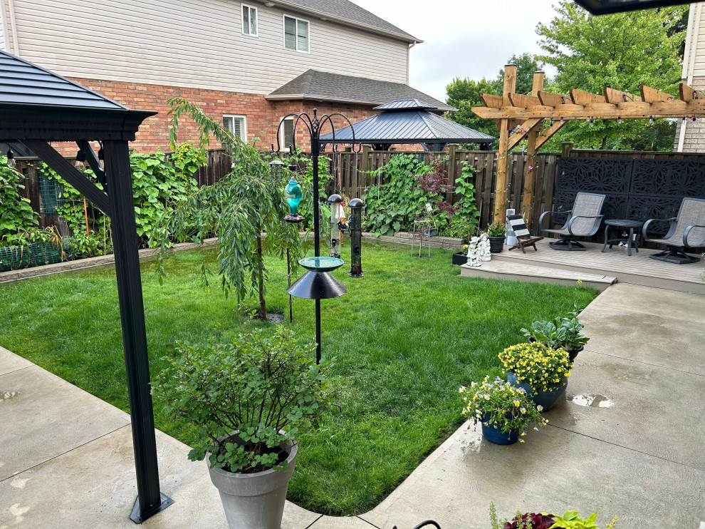 Backyard Pergola- Additional Comfort & Beauty to the Backyard