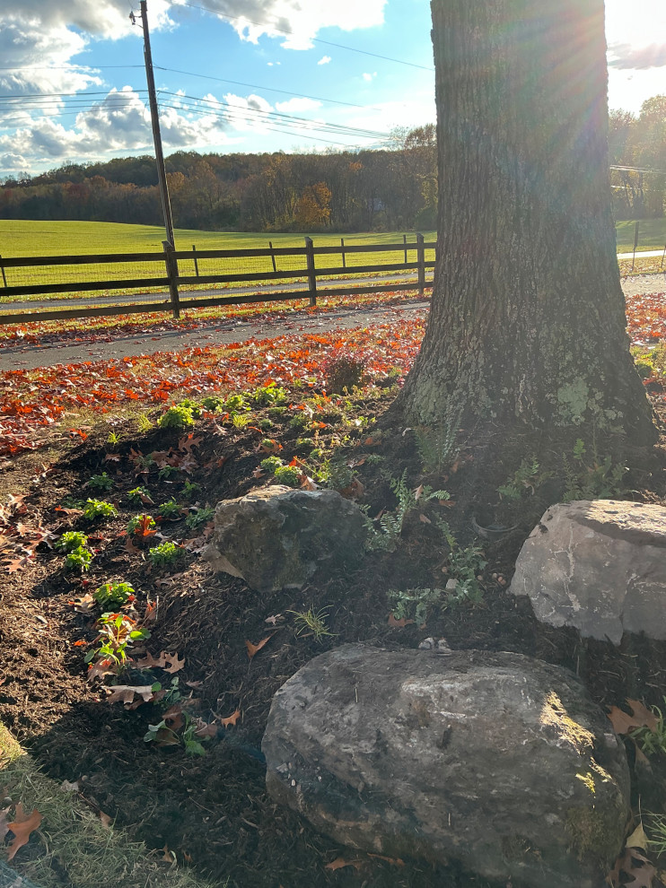 Impactful, serene and native entrance.