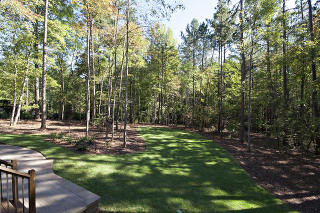 wooded backyard - traditional - landscape - raleigh - by