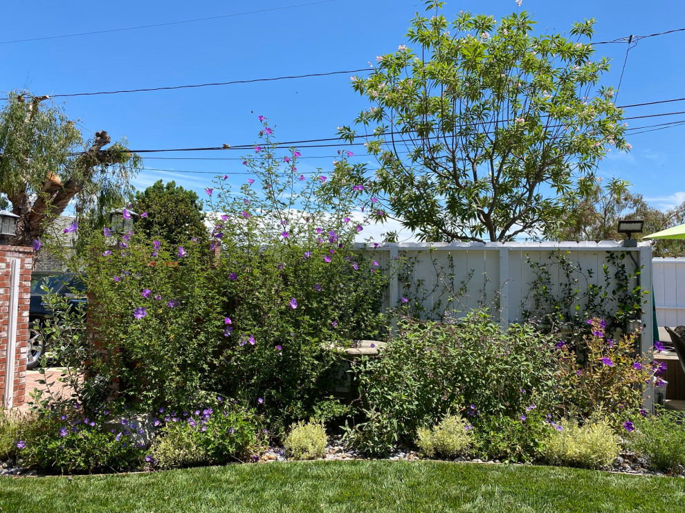 Drought Tolerant Palos Verdes Butterfly Oasis