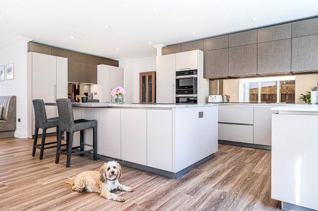 Minimalist Open Plan Kitchen contemporary-kitchen