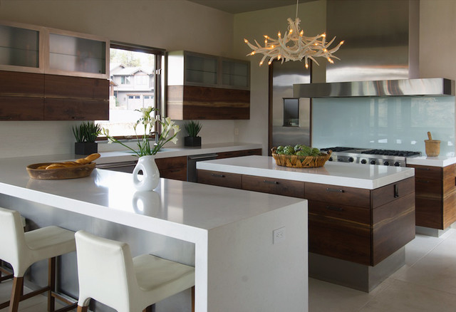 Kitchen contemporary-kitchen