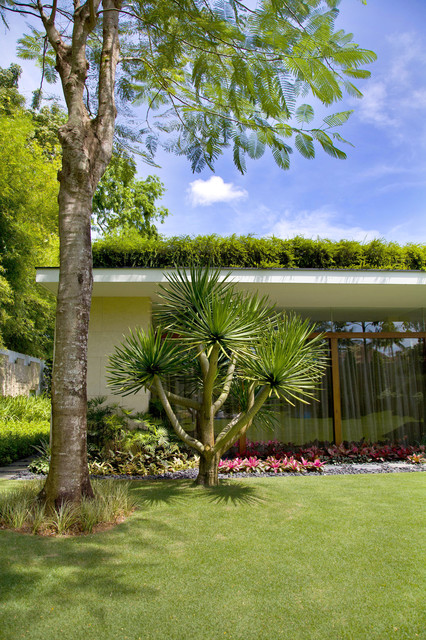 Cornwall Garden tropisk-have