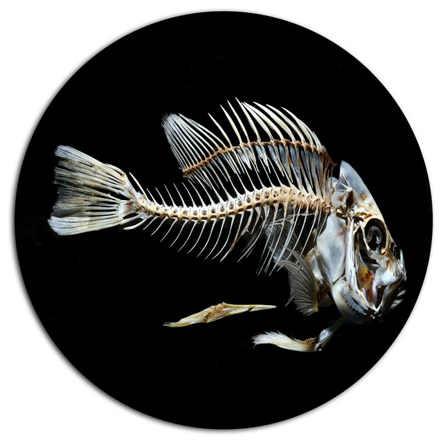 Fish Skeleton Bone On Black, Animal Disc Metal Artwork Beach Style