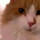 woobles_66
