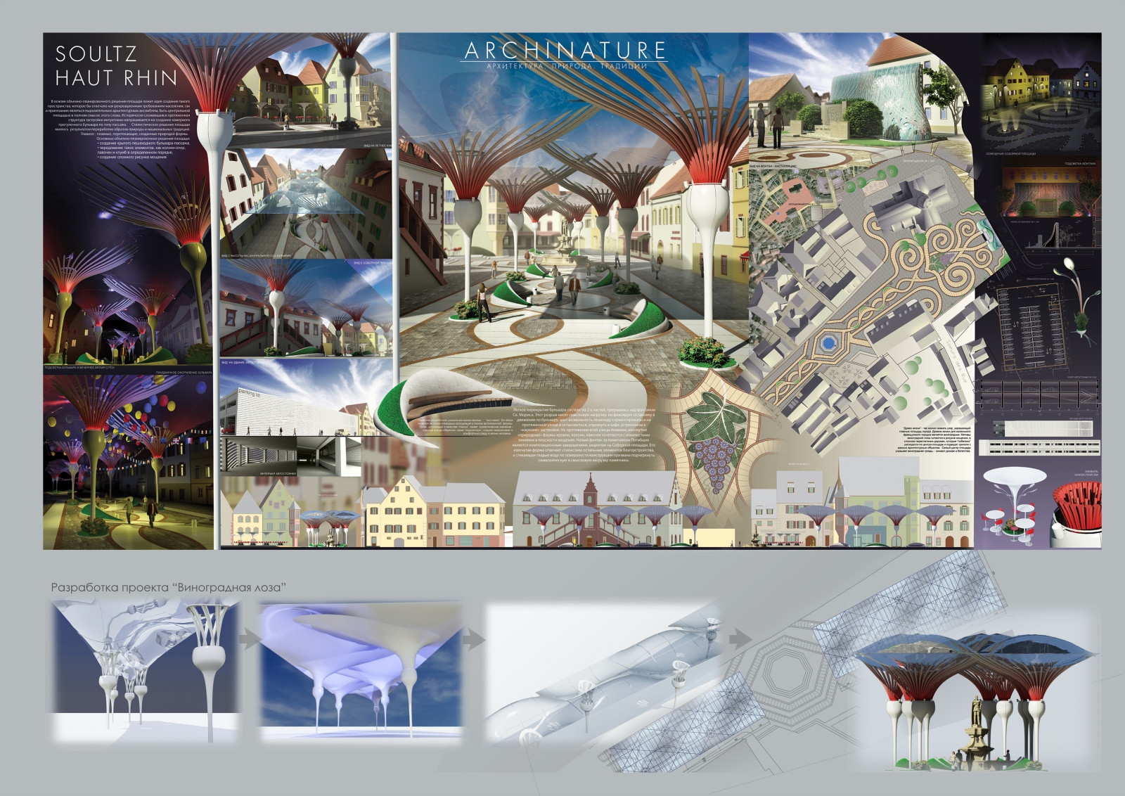 Конкурсная работа, г.Сульц