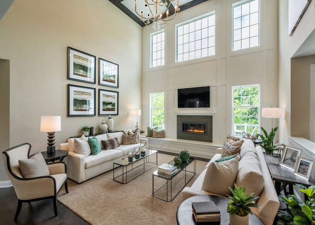 Transitional Living Room nyklassisk-vardagsrum
